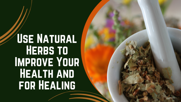 Use Natural Herbs to Improve Your Health and for Healing
