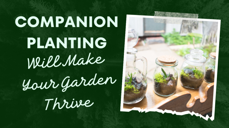 Companion Planting Will MakeYour Garden Thrive